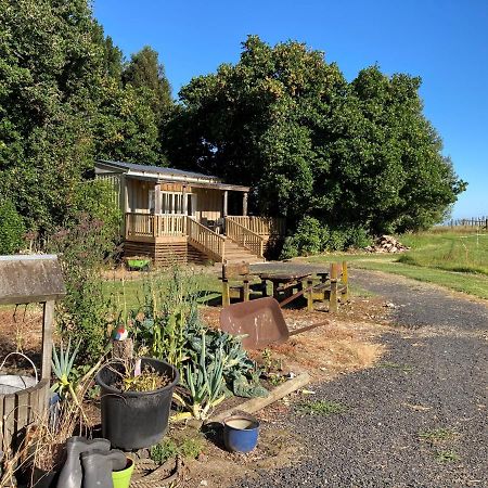 فيلا The Treehut Ohauiti المظهر الخارجي الصورة