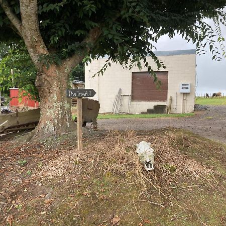فيلا The Treehut Ohauiti المظهر الخارجي الصورة